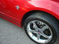 71309_031.JPG