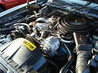 71309_125.JPG