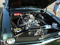 72009_049.JPG