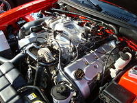 72009_077.JPG
