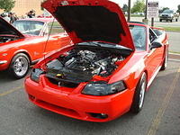 7279_137.JPG