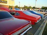 8249_045.JPG
