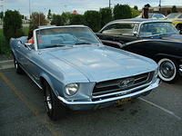 9149_029.JPG