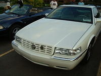 9149_056.JPG