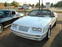 9149_102.JPG