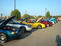 9149_110.JPG