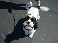 Lowe's 4179_049.JPG