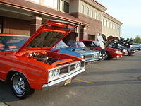 51010_069.JPG