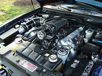 51010_104.JPG