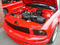 62110_037.JPG