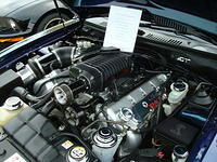 62110_061.JPG