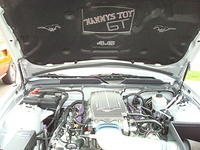 62110_065.JPG