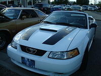 62810_009.JPG