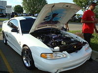 62810_026.JPG