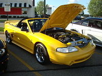 62810_032.JPG