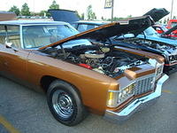 62810_130.JPG