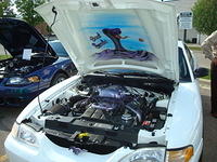 6710_011.JPG