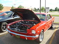 6710_041.JPG