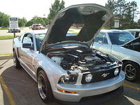 6710_042.JPG