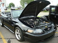 71910_159.JPG