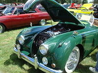 SL72510_054.JPG