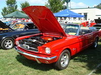 SL72510_081.JPG
