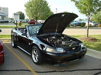72610_169.JPG
