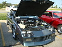 7510_066.JPG