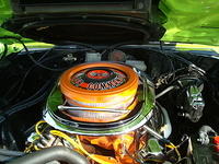 7510_079.JPG