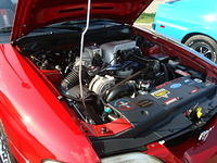 7510_113.JPG