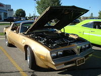 81610_153.JPG