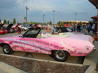 8210_037.JPG