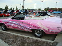 8210_051.JPG