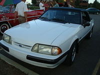 82310_071.JPG