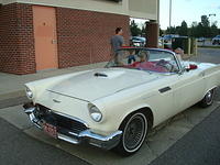 82310_100.JPG