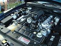 82310_114.JPG