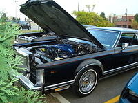 83010_003.JPG