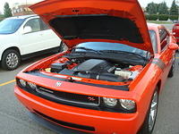 83010_010.JPG