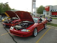 83010_069.JPG