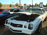 91310_170.JPG