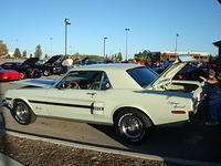 91310_201.JPG