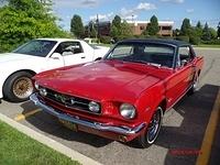 72913 (84)
