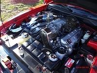 92313 (32)