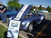  6313 (113)