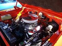  6313 (62)