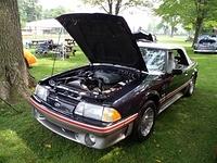 72014 Picnic (24)