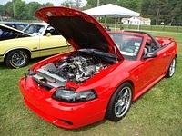 72014 Picnic (55)