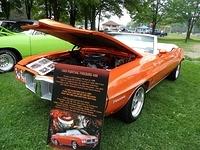72014 Picnic (7)