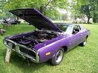 72014 Picnic (86)