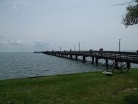 72014 Picnic (92)